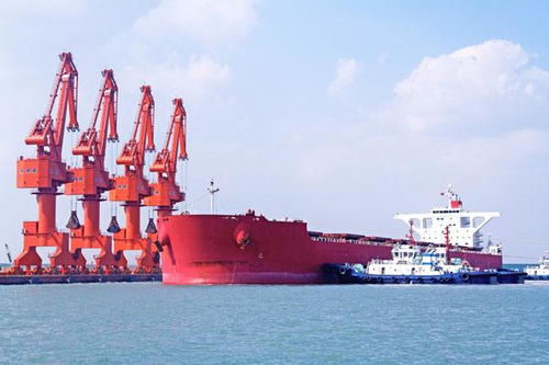 廣州 國(guó)內(nèi)貨物運(yùn)輸代理行業(yè)的樞紐與發(fā)展趨勢(shì)